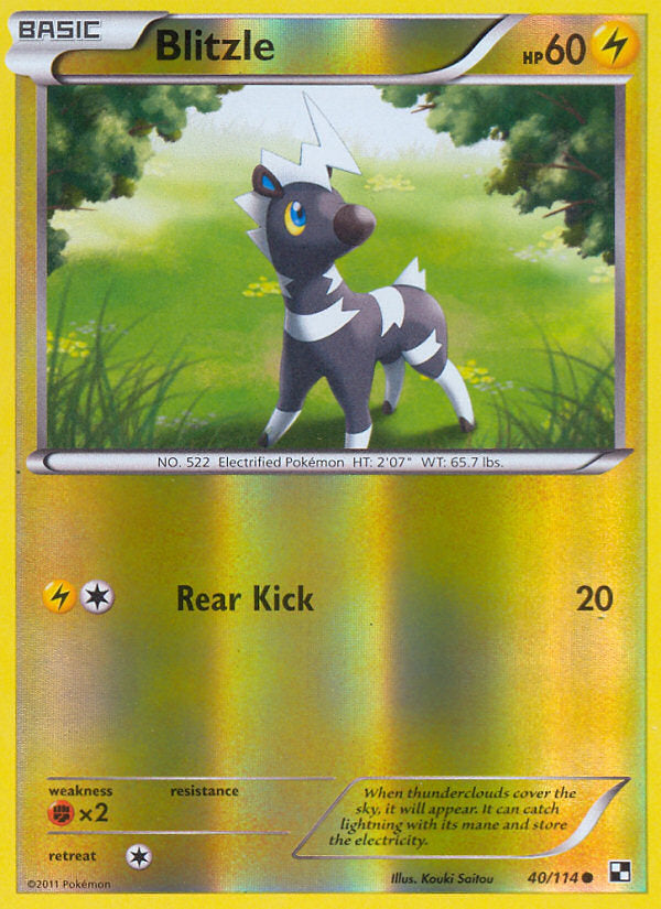 Black & White Blitzle #40/114 reverse holo